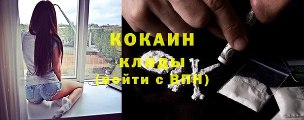 гидра Осинники