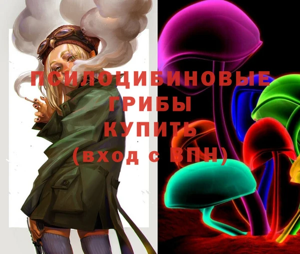 прущая мука Осташков