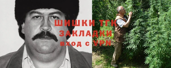 гидра Осинники