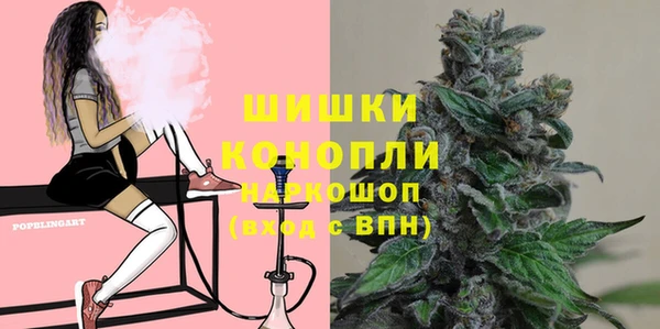 гидра Осинники