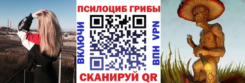 Псилоцибиновые грибы прущие грибы Никольское